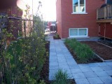 Entré pavé,capage mur,cours,plantation